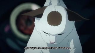 Пауэр и мяука