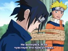 Делится едой