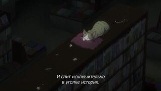 девон