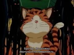 Котик