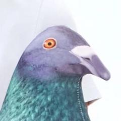 Docintar