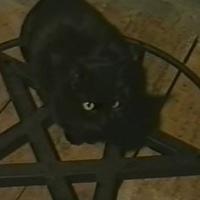 Молочко