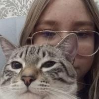 Алексей Плецкий